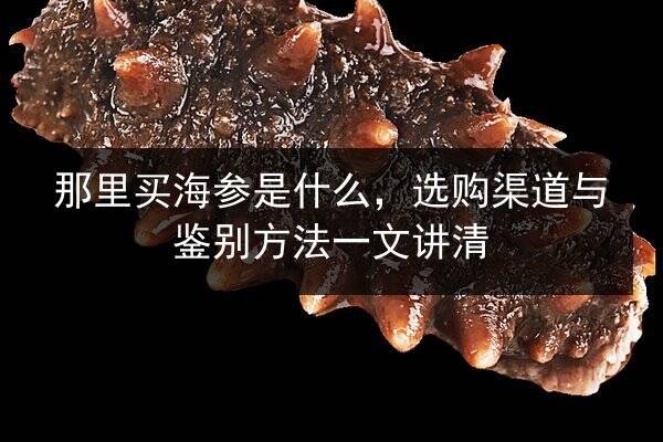 那里买海参是什么,选购渠道与鉴别方法一文讲清