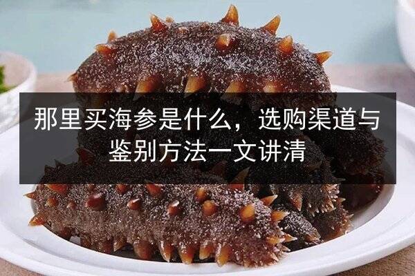 那里买海参是什么,选购渠道与鉴别方法一文讲清