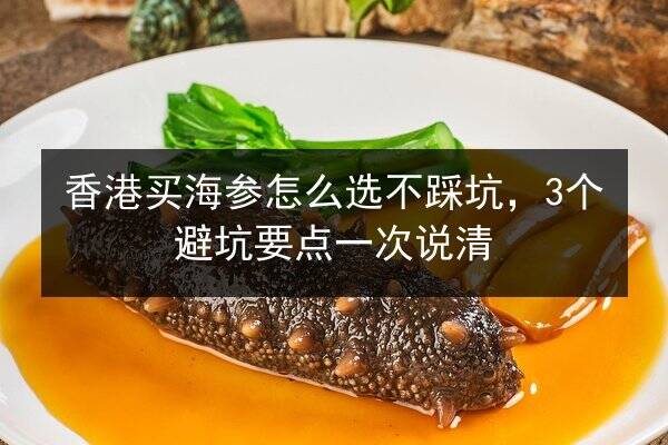 香港买海参怎么选不踩坑，3个避坑要点一次说清