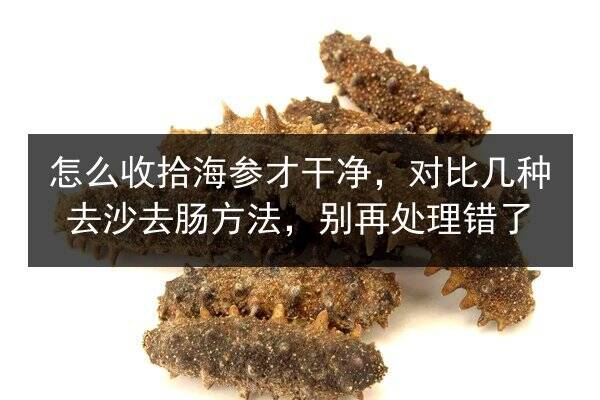 怎么收拾海参才干净，对比几种去沙去肠方法，别再处理错了