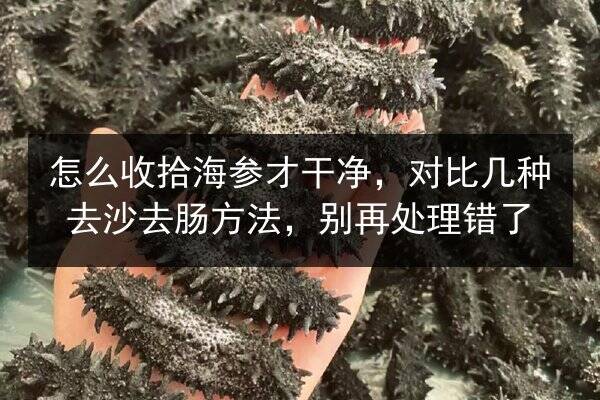 怎么收拾海参才干净，对比几种去沙去肠方法，别再处理错了