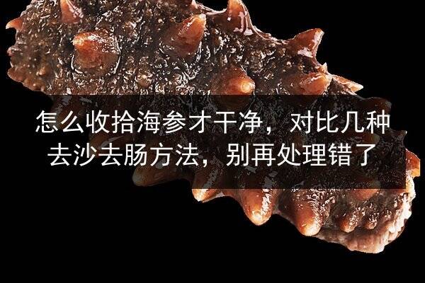 怎么收拾海参才干净，对比几种去沙去肠方法，别再处理错了