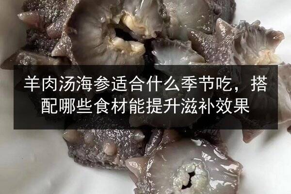 羊肉汤海参适合什么季节吃,搭配哪些食材能提升滋补效果