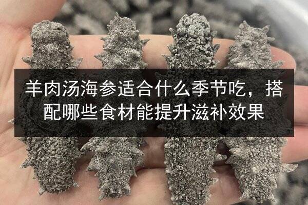 羊肉汤海参适合什么季节吃,搭配哪些食材能提升滋补效果