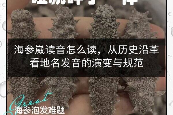 海参崴读音怎么读,从历史沿革看地名发音的演变与规范