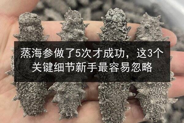 蒸海参做了5次才成功,这3个关键细节新手最容易忽略