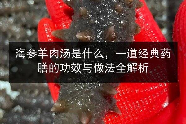 海参羊肉汤是什么,一道经典药膳的功效与做法全解析