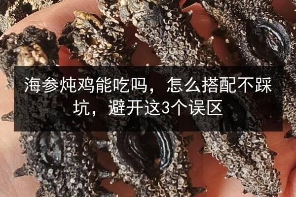 海参炖鸡能吃吗，怎么搭配不踩坑，避开这3个误区