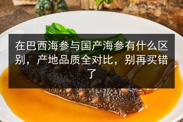 在巴西海参与国产海参有什么区别,产地品质全对比,别再买错了