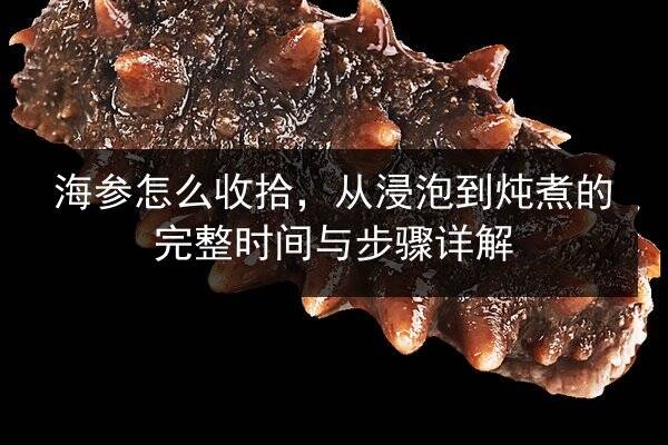 海参怎么收拾,从浸泡到炖煮的完整时间与步骤详解
