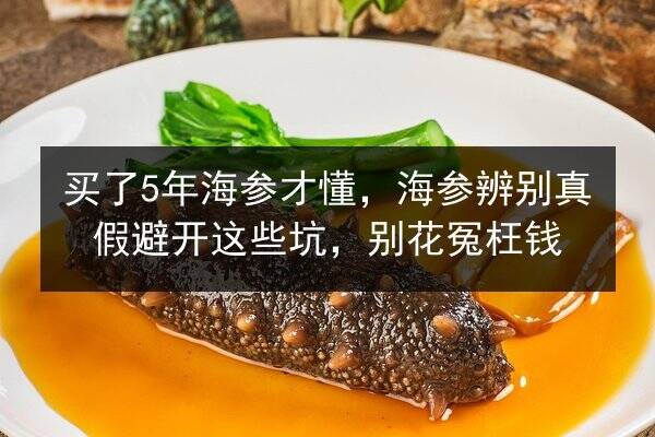 买了5年海参才懂,海参辨别真假避开这些坑,别花冤枉钱