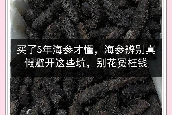 买了5年海参才懂,海参辨别真假避开这些坑,别花冤枉钱
