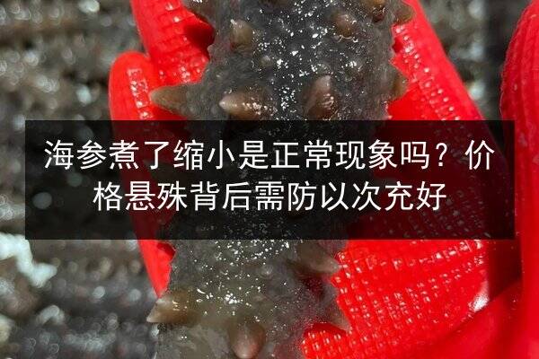 海参煮了缩小是正常现象吗?价格悬殊背后需防以次充好