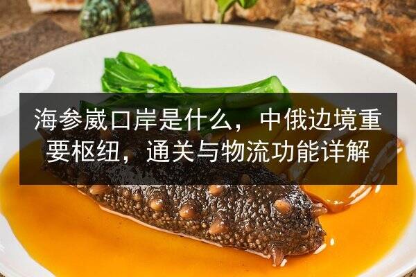 海参崴口岸是什么,中俄边境重要枢纽,通关与物流功能详解