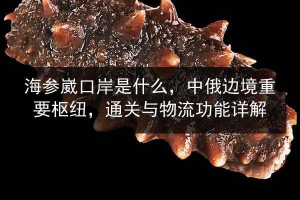 海参崴口岸是什么,中俄边境重要枢纽,通关与物流功能详解