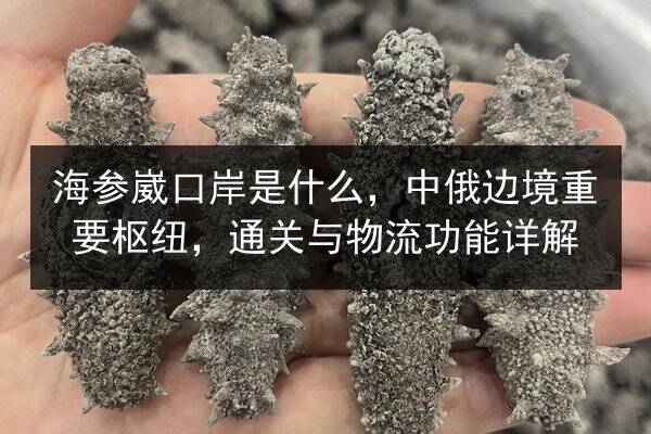 海参崴口岸是什么,中俄边境重要枢纽,通关与物流功能详解