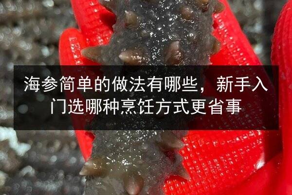 海参简单的做法有哪些,新手入门选哪种烹饪方式更省事