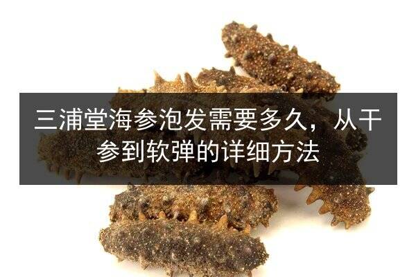 三浦堂海参泡发需要多久,从干参到软弹的详细方法
