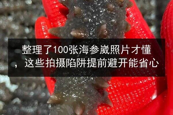 整理了100张海参崴照片才懂,这些拍摄陷阱提前避开能省心