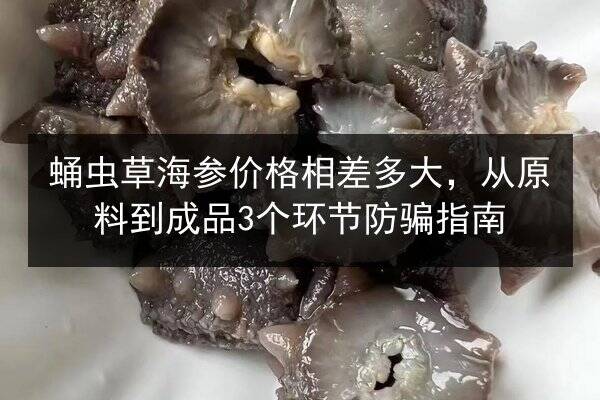 蛹虫草海参价格相差多大，从原料到成品3个环节防骗指南