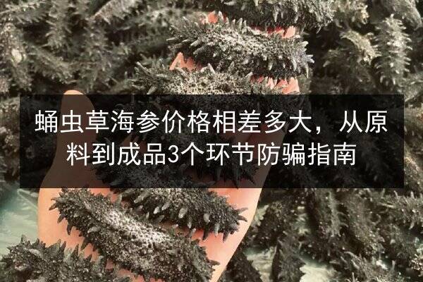 蛹虫草海参价格相差多大，从原料到成品3个环节防骗指南