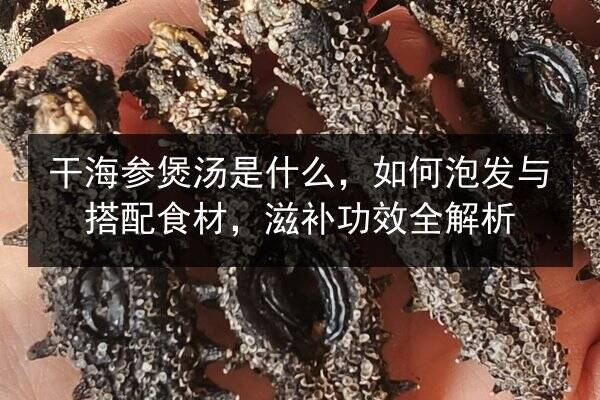 干海参煲汤是什么,如何泡发与搭配食材,滋补功效全解析