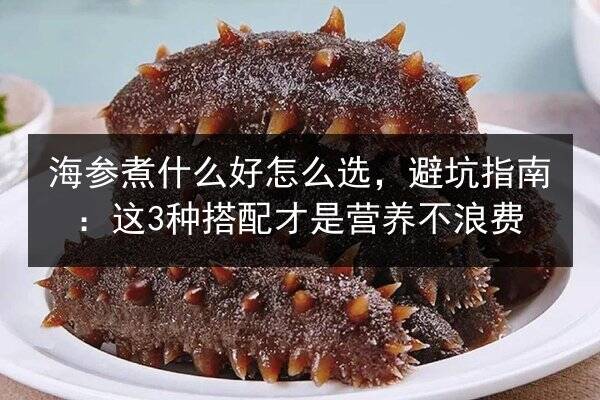 海参煮什么好怎么选,避坑指南:这3种搭配才是营养不浪费