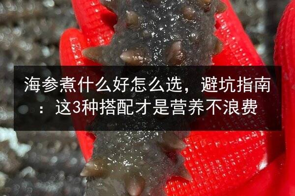 海参煮什么好怎么选,避坑指南:这3种搭配才是营养不浪费