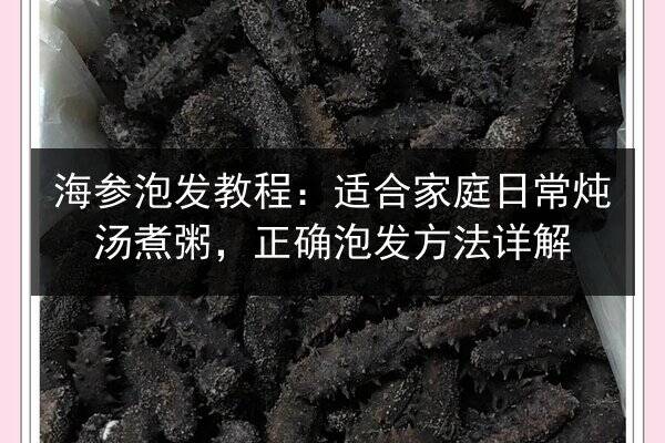 海参泡发教程:适合家庭日常炖汤煮粥,正确泡发方法详解