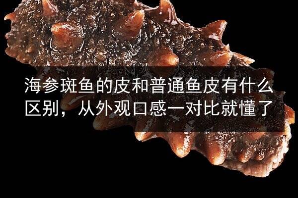 海参斑鱼的皮和普通鱼皮有什么区别,从外观口感一对比就懂了