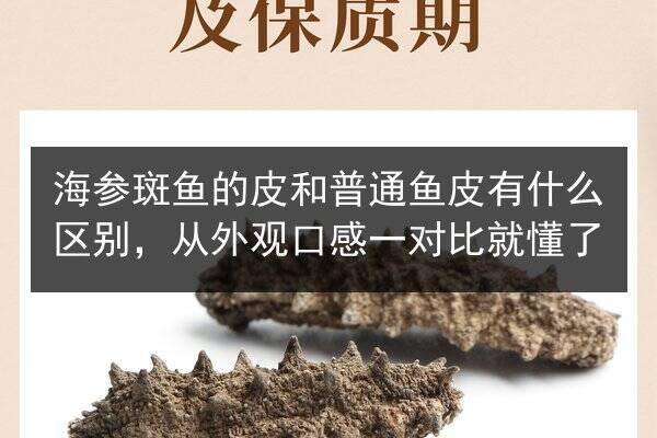 海参斑鱼的皮和普通鱼皮有什么区别,从外观口感一对比就懂了
