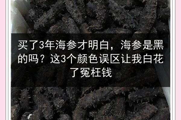 买了3年海参才明白,海参是黑的吗?这3个颜色误区让我白花了冤枉钱
