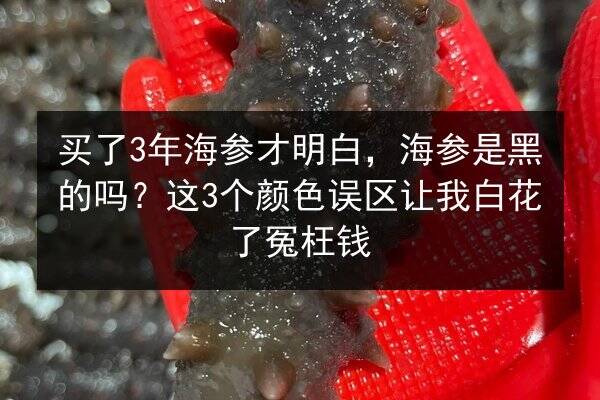 买了3年海参才明白,海参是黑的吗?这3个颜色误区让我白花了冤枉钱