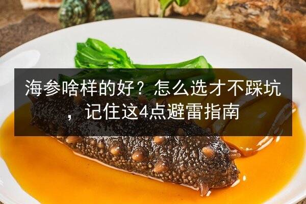 海参啥样的好?怎么选才不踩坑,记住这4点避雷指南