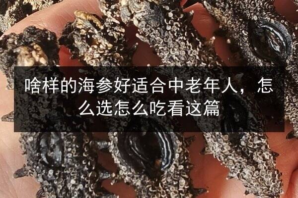 啥样的海参好适合中老年人,怎么选怎么吃看这篇