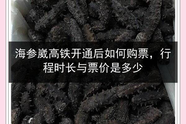 海参崴高铁开通后如何购票,行程时长与票价是多少