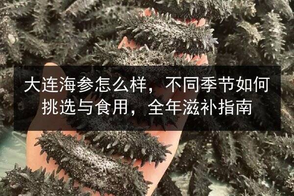 大连海参怎么样,不同季节如何挑选与食用,全年滋补指南