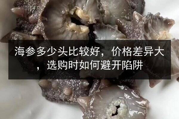 海参多少头比较好,价格差异大,选购时如何避开陷阱