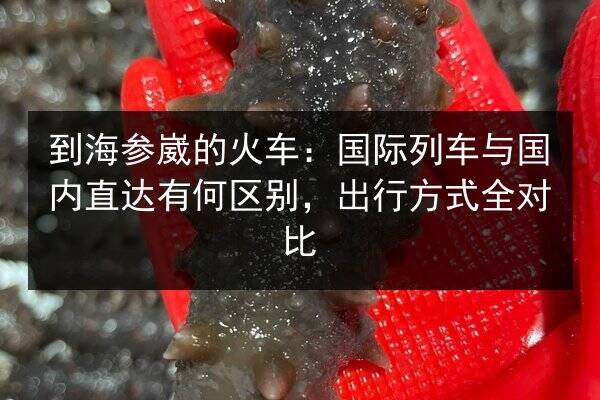 到海参崴的火车：国际列车与国内直达有何区别，出行方式全对比