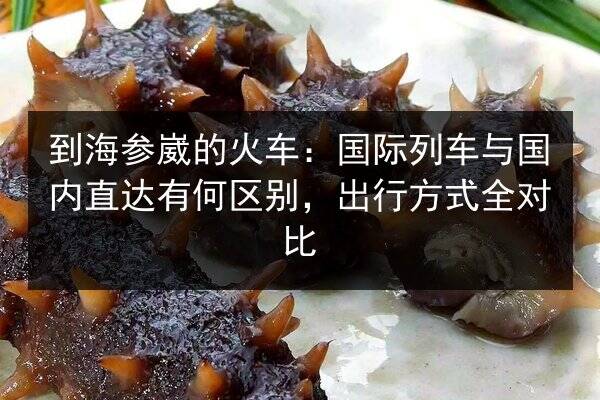 到海参崴的火车：国际列车与国内直达有何区别，出行方式全对比