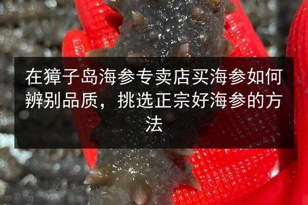 在獐子岛海参专卖店买海参如何辨别品质，挑选正宗好海参的方法