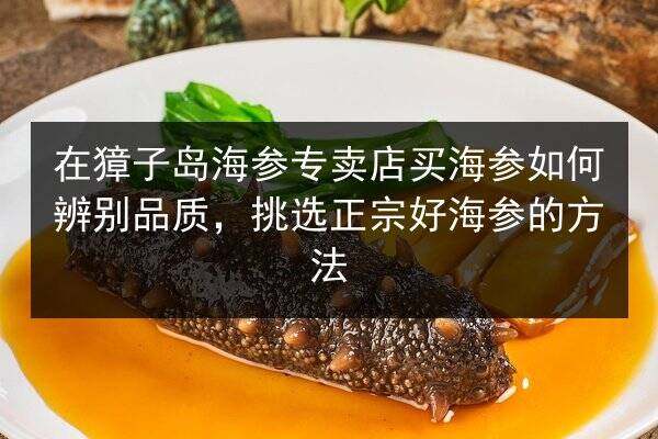 在獐子岛海参专卖店买海参如何辨别品质，挑选正宗好海参的方法