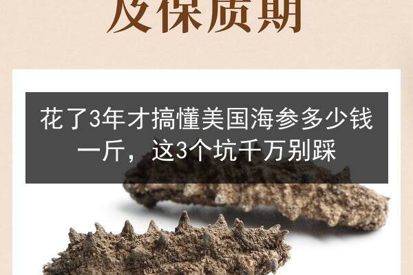 花了3年才搞懂美国海参多少钱一斤,这3个坑千万别踩