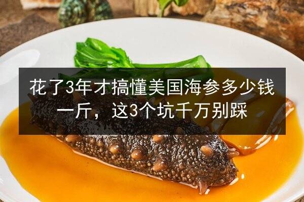花了3年才搞懂美国海参多少钱一斤,这3个坑千万别踩