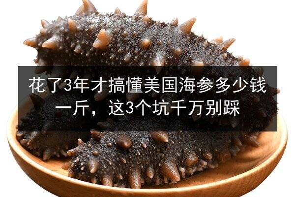 花了3年才搞懂美国海参多少钱一斤,这3个坑千万别踩