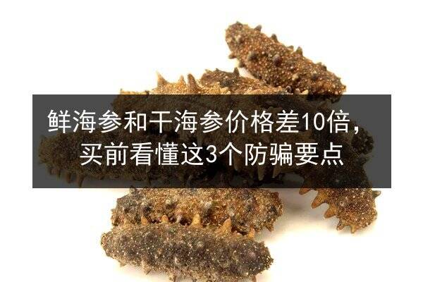 鲜海参和干海参价格差10倍,买前看懂这3个防骗要点