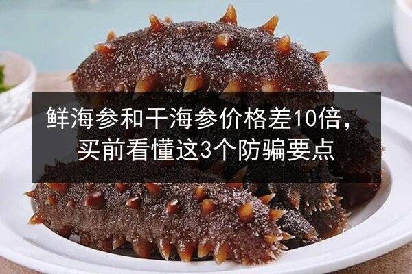 鲜海参和干海参价格差10倍,买前看懂这3个防骗要点