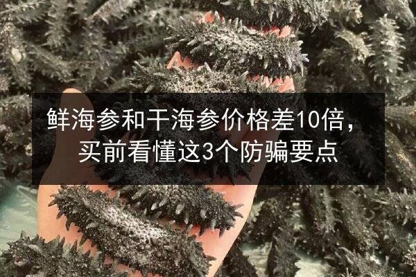 鲜海参和干海参价格差10倍,买前看懂这3个防骗要点