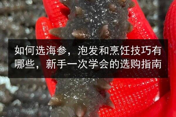 如何选海参,泡发和烹饪技巧有哪些,新手一次学会的选购指南