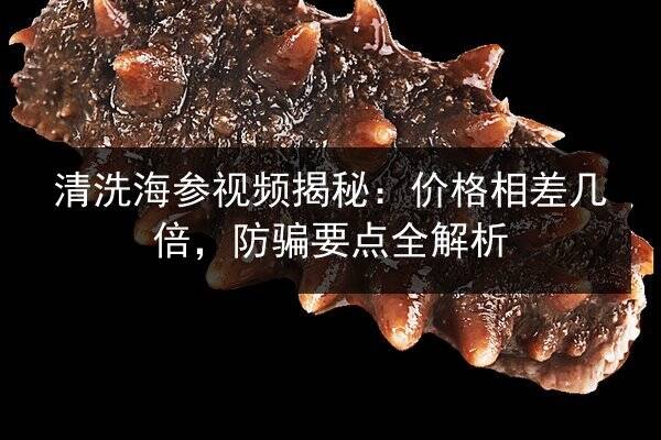 清洗海参视频揭秘：价格相差几倍，防骗要点全解析